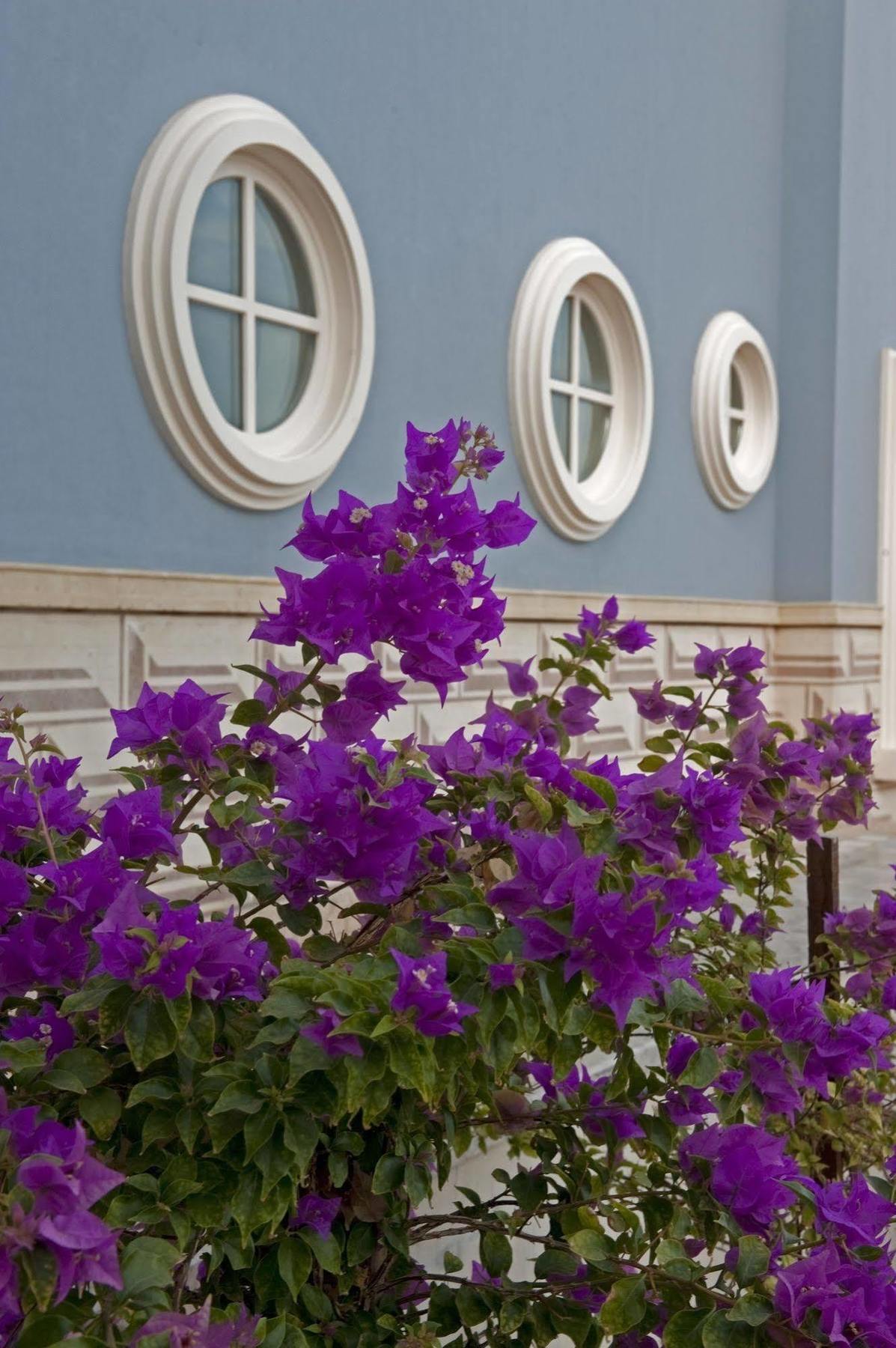 La Maison Bleue El Gouna (Adults Only) Hurghada Exterior foto